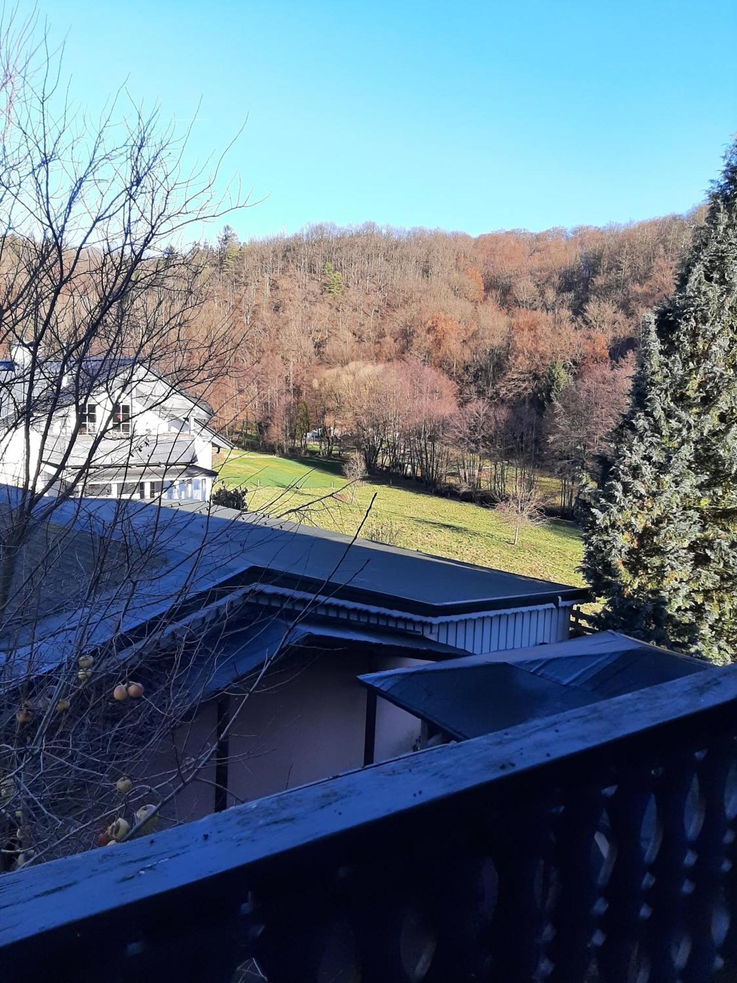 Ferienwohnung Bergblick ฮัลเลนแบร์ก ภายนอก รูปภาพ