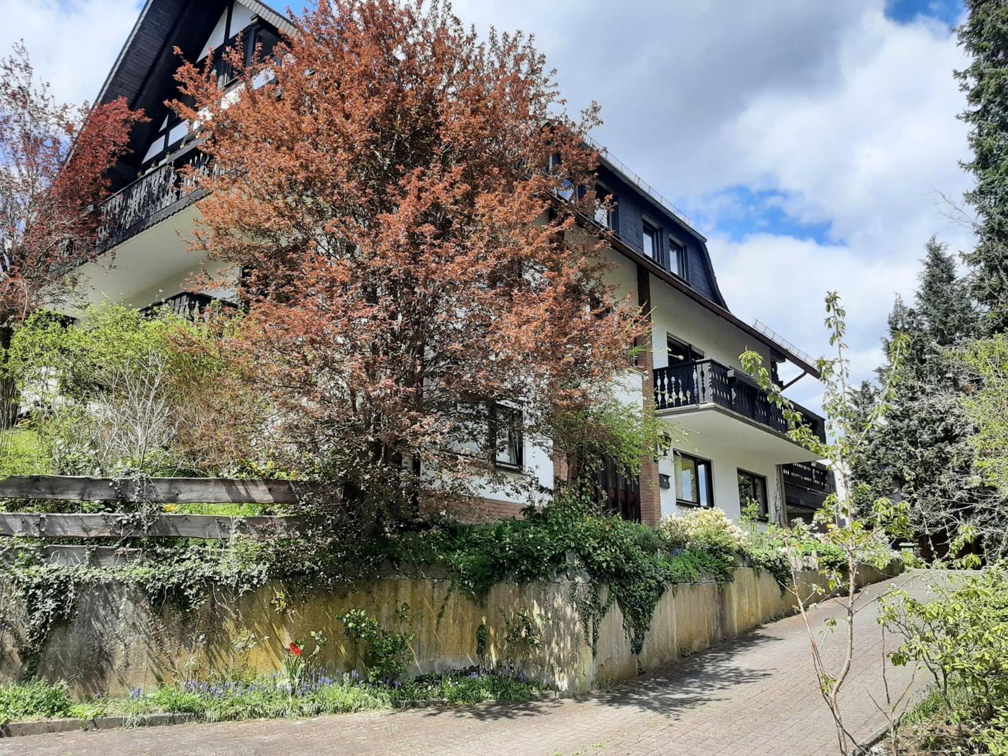 Ferienwohnung Bergblick ฮัลเลนแบร์ก ภายนอก รูปภาพ